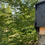 Abendliche Fledermausführung im Licht und Luftbad Hanau mit Ultraschalldetektor