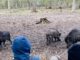 Ferienwoche im Wildpark: Naturprogramm für Acht- bis Zehnjährige in Hanau