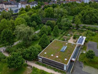 Hanau: Praktischer Kurs zur Herstellung von Putzmitteln informiert über Umweltaspekte und Anwendung