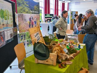 Hanauer Nachhaltigkeitsmesse stellt Artenvielfalt und Konsumverbindungen in den Mittelpunkt