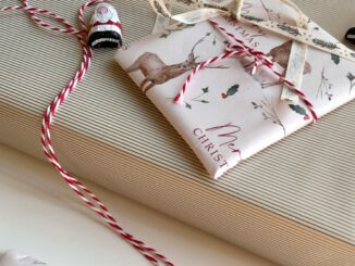 Kostenloses Papier zum Basteln und Einpacken im Klingspor Museum