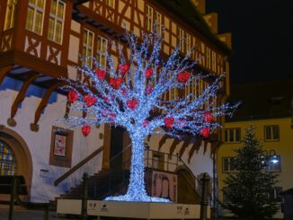 Lichterpfad verbindet Marktplatz und Schlossplatz in Hanau bis 6. Januar