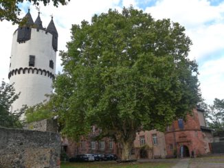 Nachtwächterführung in Steinheim: Historischer Rundgang am 4. Februar