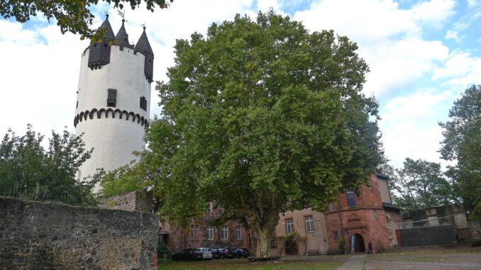 Nachtwächterführung in Steinheim: Historischer Rundgang am 4. Februar Nachtwächterführung in Steinheim: Historischer Rundgang am 4. Februar