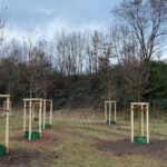 Neues Bürgerwäldchen in Großauheim soll Klima und Erinnerung stärken