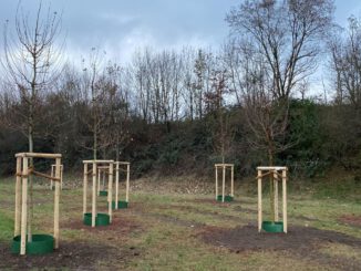 Neues Bürgerwäldchen in Großauheim soll Klima und Erinnerung stärken