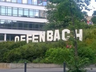 Offenbachs Staudenbeete prägen das Stadtbild. Projektleiterin Sophie Siebel geht in den Ruhestand