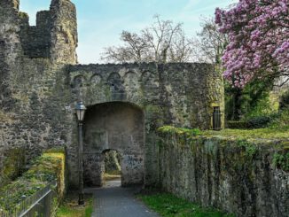 Steinheimer Stadtmauer: Reparaturarbeiten abgeschlossen und umfassende Kartierung gestartet