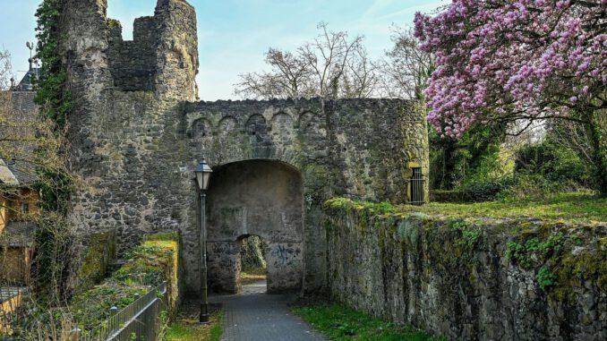 Steinheimer Stadtmauer: Reparaturarbeiten abgeschlossen und umfassende Kartierung gestartet Steinheimer Stadtmauer: Reparaturarbeiten abgeschlossen und umfassende Kartierung gestartet