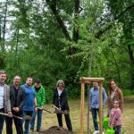 Zitterpappel am Kinzigufer: Hanau pflanzt Baum des Jahres 2026 in die Innenstadt
